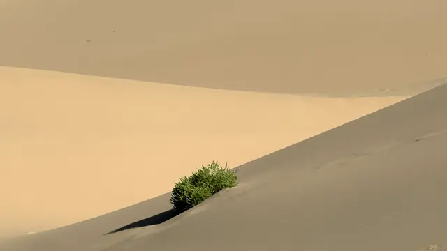 Gobi Desert