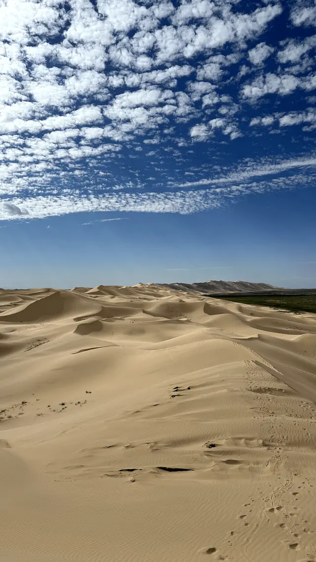 Gobi Desert