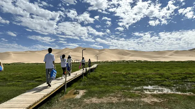 Gobi Desert